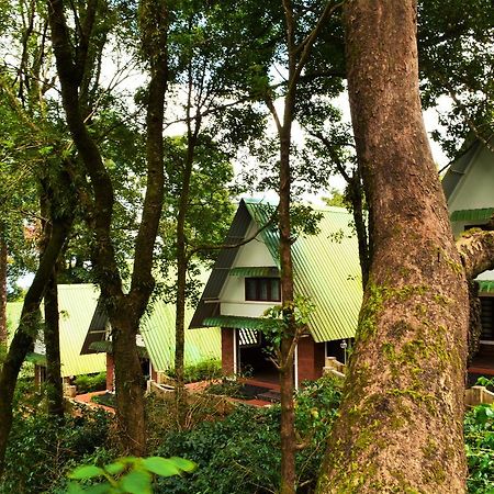 Misty Woods Resort Kakkabe Exterior foto