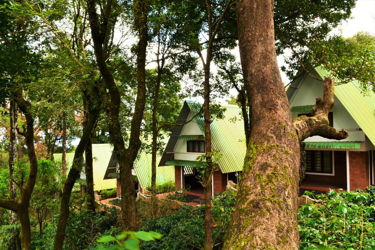 Misty Woods Resort Kakkabe Exterior foto